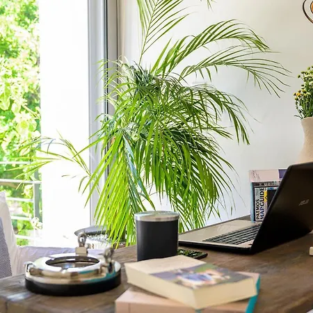 Syndriani * コス・タウン